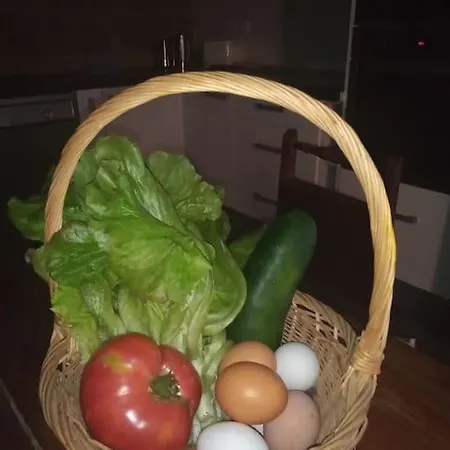 El Desvan Del Campanero Con Jardin Apartment Murillo de Gallego