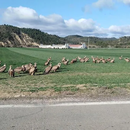 El Desvan Del Campanero Con Jardin Apartman Murillo de Gállego