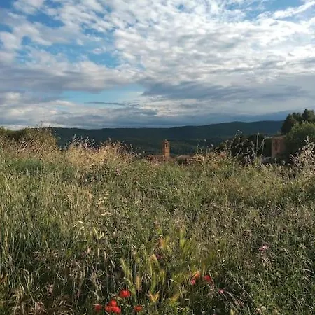 El Desvan Del Campanero Con Jardin