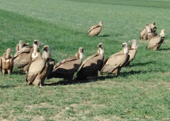 El Desván Del Campanero Con Jardín Apartamento *