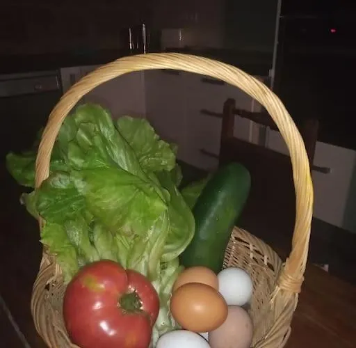 El Desván Del Campanero Con Jardín Apartamento Murillo de Gállego