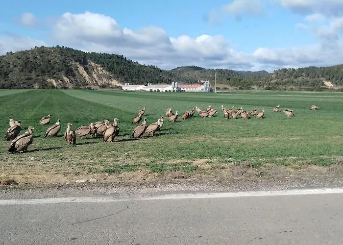 El Desván Del Campanero Con Jardín Apartamento Murillo de Gállego